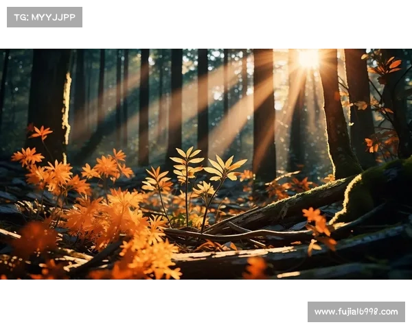 永歌森林探秘之旅 揭开时空之门 让你感受大自然的神秘与奇幻